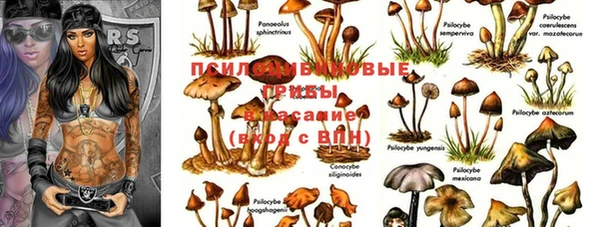 спиды Абинск