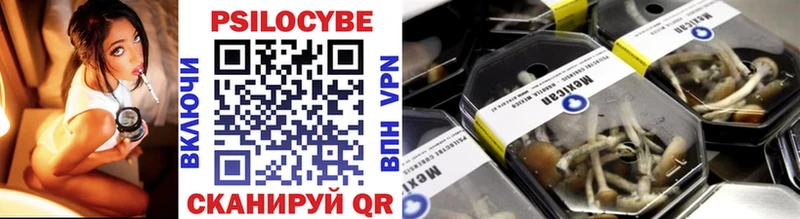 Псилоцибиновые грибы ЛСД  Шахунья 